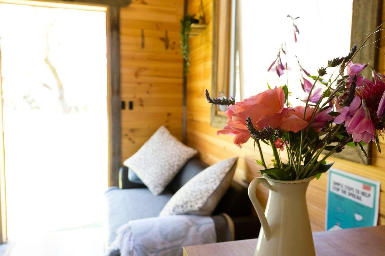Newham Ardingly Tiny House 빌라 외부 사진